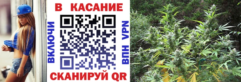 Какие есть наркотики Новосиль Кокаин Alpha PVP Каннабис Меф мяу мяу