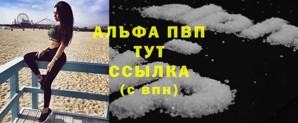 прущие грибы Михайловка
