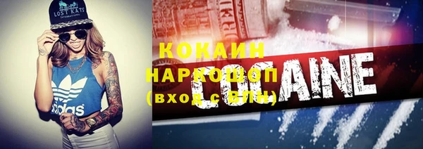 прущие грибы Михайловка
