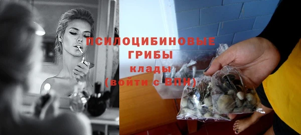 прущие грибы Михайловка