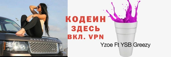 прущие грибы Михайловка