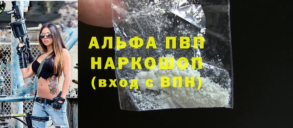 прущие грибы Михайловка