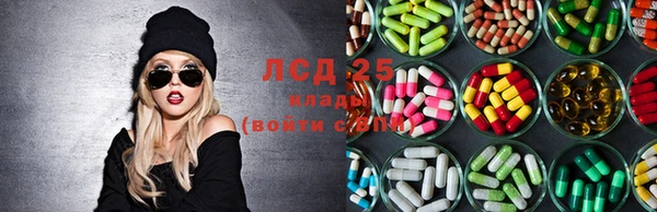 прущие грибы Михайловка