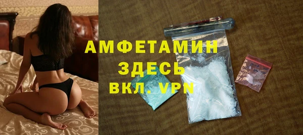 прущие грибы Михайловка