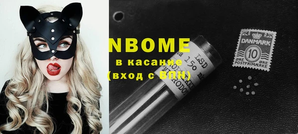 гидра Ахтубинск