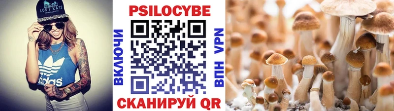 Псилоцибиновые грибы Magic Shrooms  Новосиль 